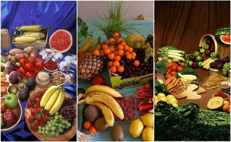 5 Alimentos Ecológicos que promueven la Salud y el Bienestar