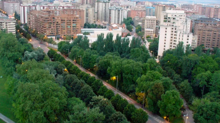El cambio climático amenaza la supervivencia de los árboles urbanos en todo el mundo