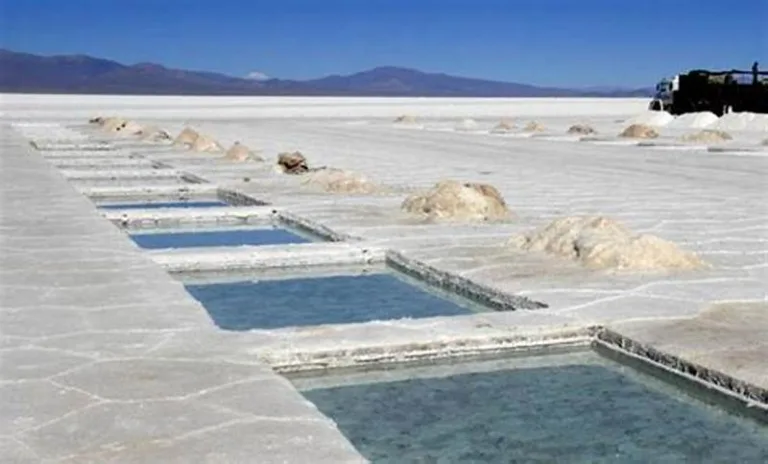 Primera fábrica de baterías de litio de Argentina 6 Primera fábrica de baterías de litio de Argentina