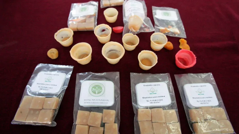 Bioplástico con restos de cáscaras de papa 9 Bioplástico con restos de cáscaras de papa