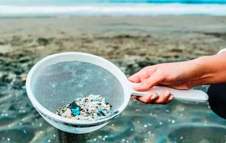 De qué manera podemos combatir la contaminación por plástico? 3 De qué manera podemos combatir la contaminación por plástico?