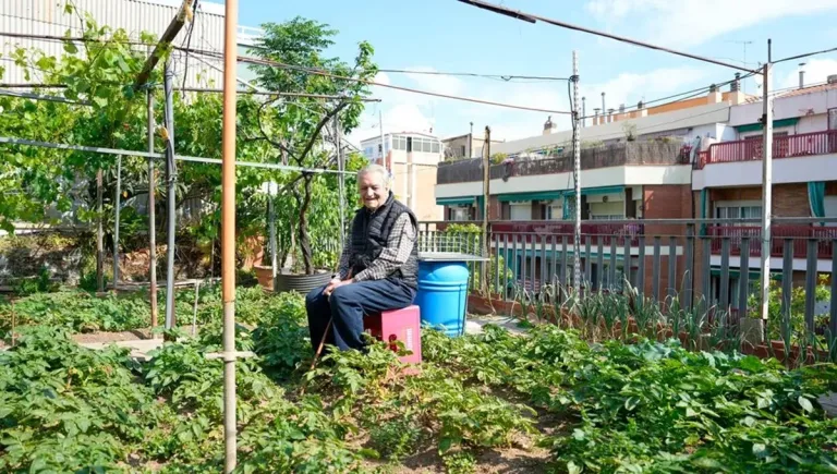 Cultivando con amor, una "parcela en el cielo" de Barcelona 4 Cultivando con amor, una «parcela en el cielo» de Barcelona