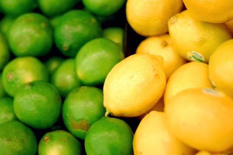 Cuida tu salud con algo tan simple como un limón 9 Cuida tu salud con algo tan simple como un limón
