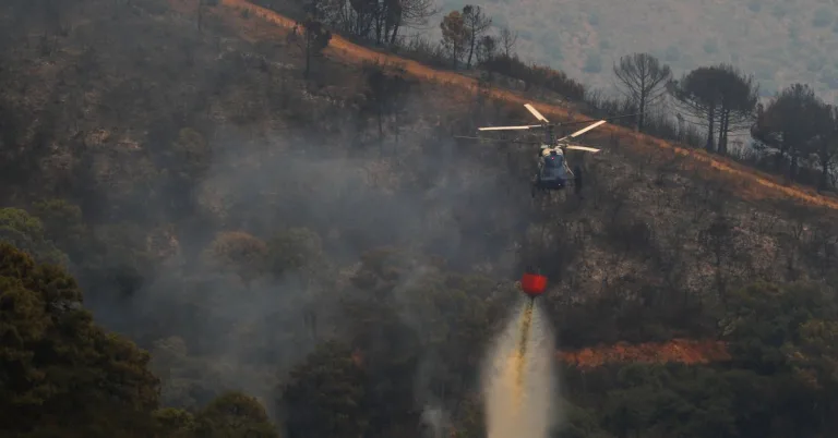 Sí, los incendios forestales son cada vez más incontrolables y destructivos