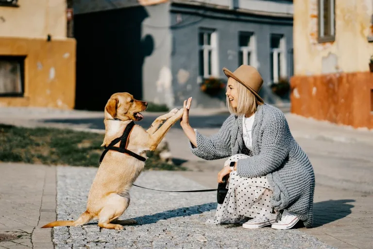 10 maneras con las que tu perro te dice “Te quiero” 4 10 maneras con las que tu perro te dice “Te quiero”