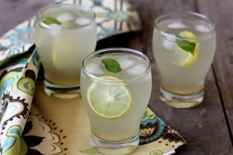 Limonada del Shikanji, refrescante y llena de propiedades 5 Limonada del Shikanji, refrescante y llena de propiedades