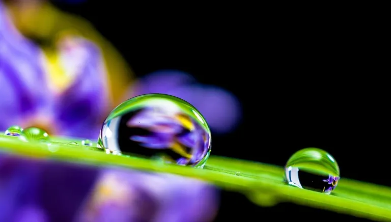 ¿De dónde viene el agua que consumimos?¿Cuándo se va a terminar? 4 ¿De dónde viene el agua que consumimos?¿Cuándo se va a terminar?