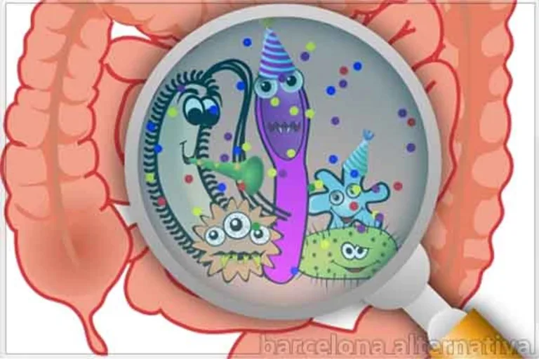 Tu dieta debe complacer también a tus bacterias