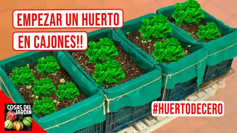 Así puedes hacer tu huerto urbano desde cero 7 Así puedes hacer tu huerto urbano desde cero