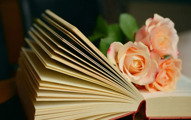 10 libros sobre medio ambiente imprescindibles 6 10 libros sobre medio ambiente imprescindibles