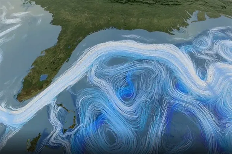 Una mega corriente oceánica se desacelera y preocupa a los científicos 1 Una mega corriente oceánica se desacelera y preocupa a los científicos