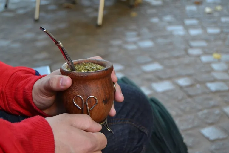 7 increíbles beneficios para la salud de la yerba mate. Respaldados por la ciencia 2 7 increíbles beneficios para la salud de la yerba mate. Respaldados por la ciencia