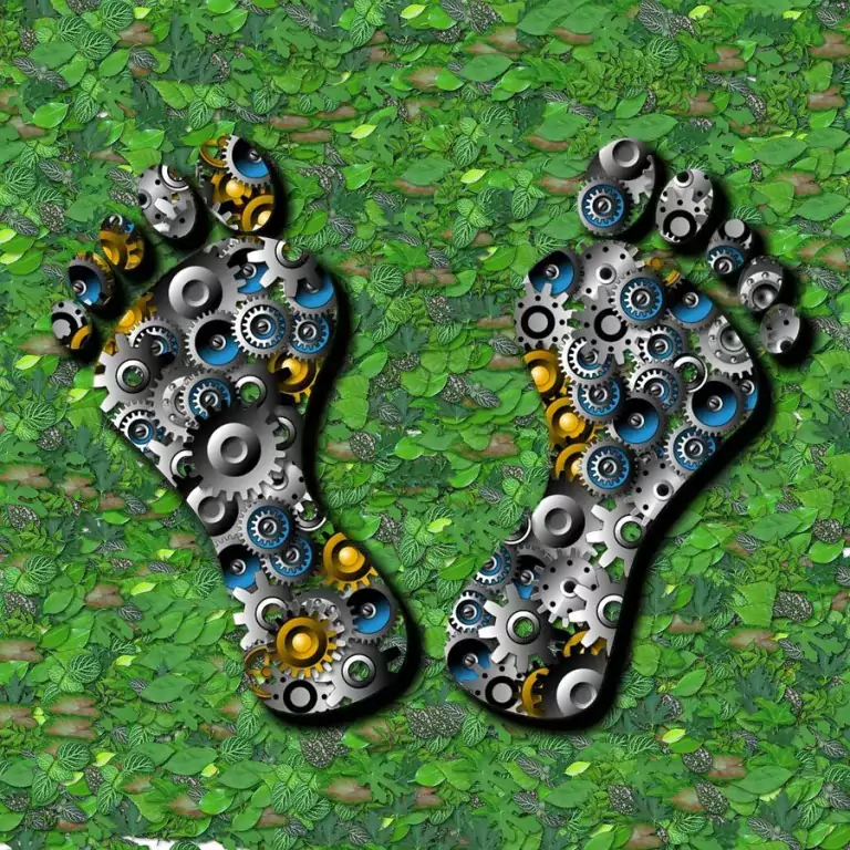Juegos de azar en línea y huella ecológica 5 Juegos de azar en línea y huella ecológica