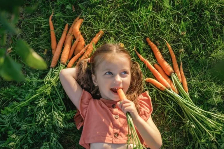 ¿Cuál es el significado de vegano? 5 ¿Cuál es el significado de vegano?