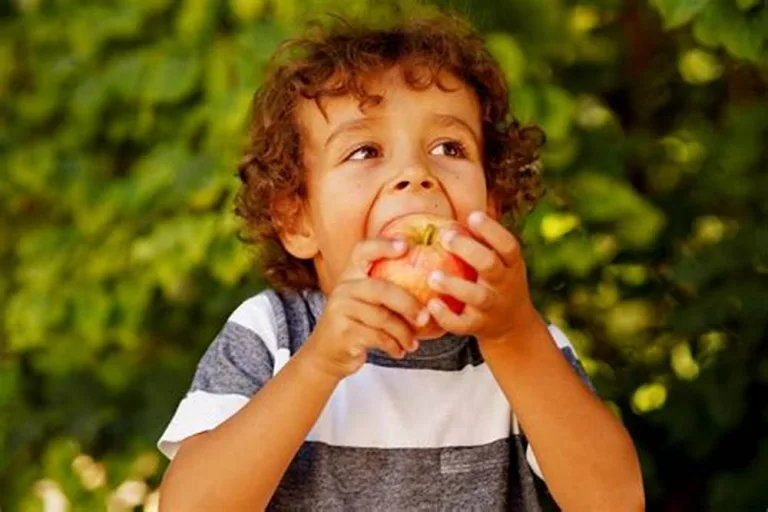 Cuántos alimentos consume un humano a lo largo de su vida 1 Cuántos alimentos consume un humano a lo largo de su vida