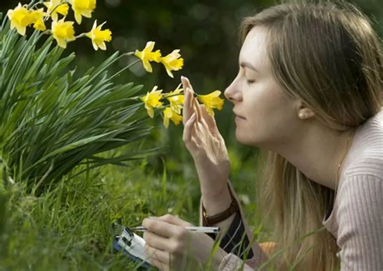 ¿Desde cuándo existe el aroma de las flores? 4 ¿Desde cuándo existe el aroma de las flores?