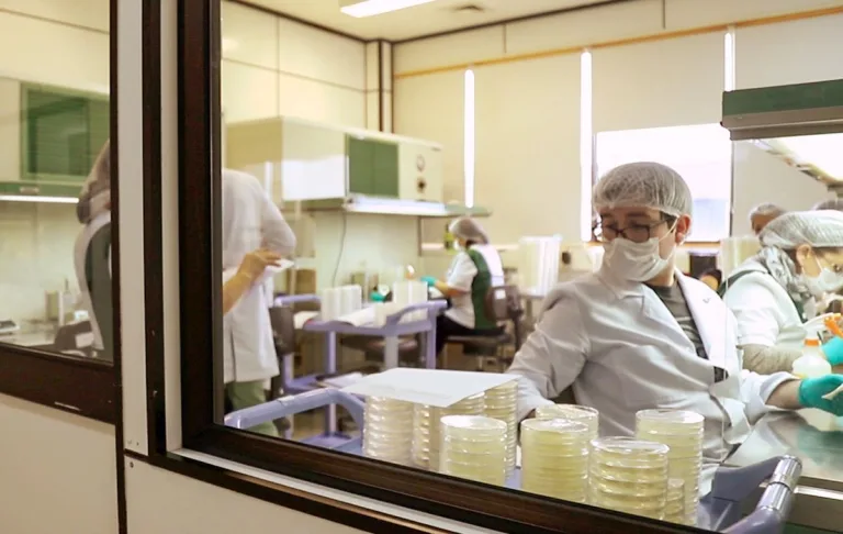 BIOFOREST: La empresa ARAUCO brinda una respuesta científica e innovadora a la crisis climática 3 BIOFOREST: La empresa ARAUCO brinda una respuesta científica e innovadora a la crisis climática