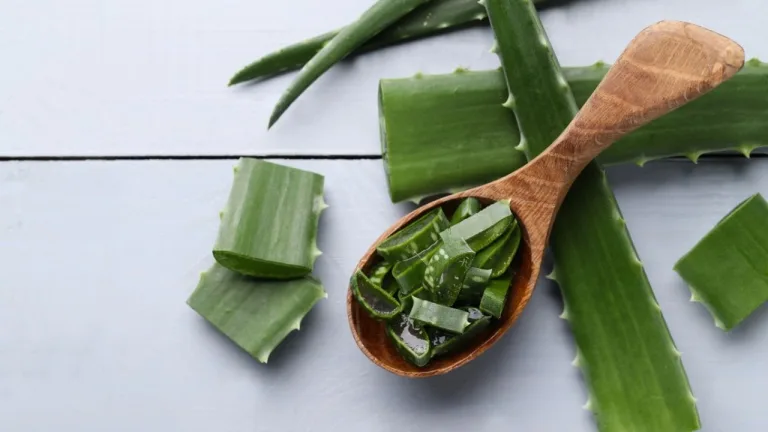 Cáscaras de aloe vera contra plagas 6 Cáscaras de aloe vera contra plagas