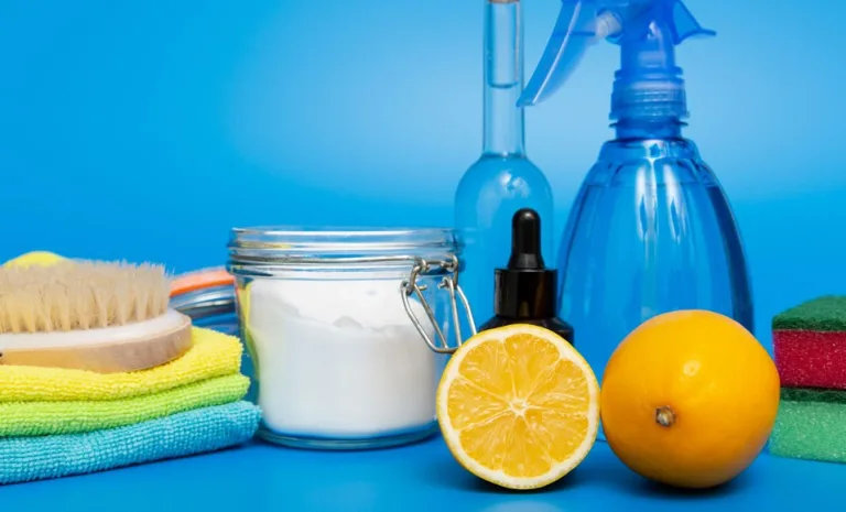 Los 5 mejores limpiadores naturales para el hogar 5 Los 5 mejores limpiadores naturales para el hogar