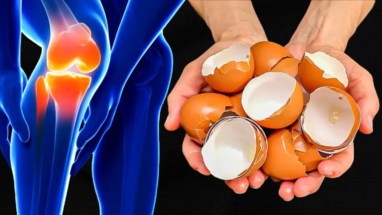 Biomaterial para regeneración de huesos a partir de la membrana del cascarón de huevo