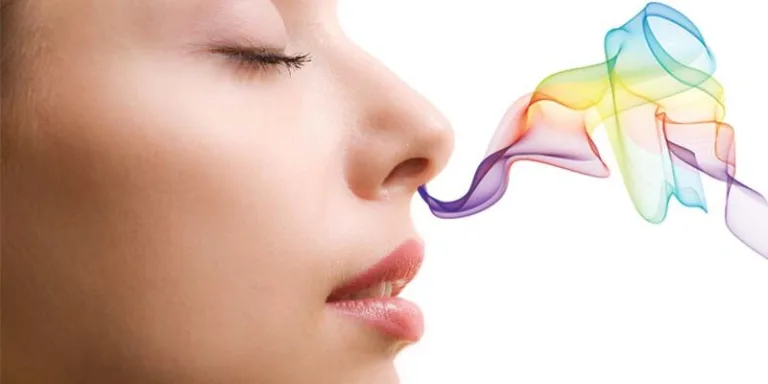 El sentido del olfato cambia los colores que vemos 2 El sentido del olfato cambia los colores que vemos