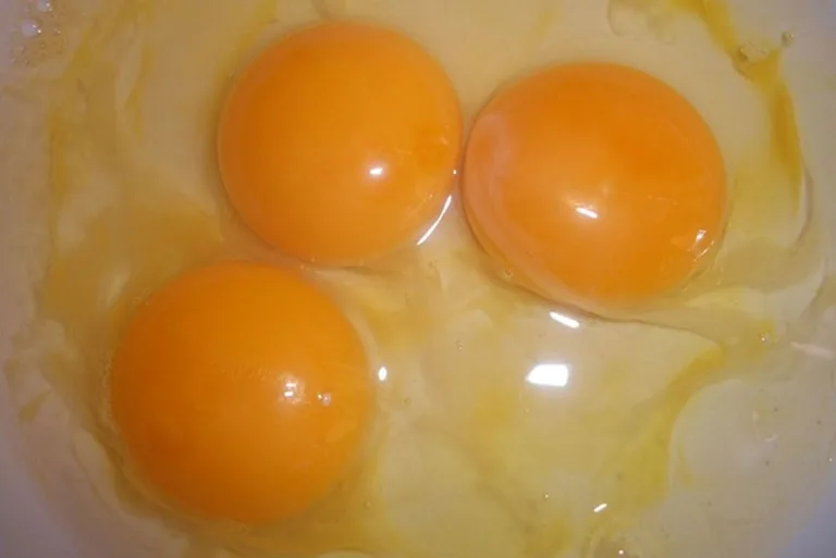 El exceso de proteína puede afectar a la salud 8 El exceso de proteína puede afectar a la salud