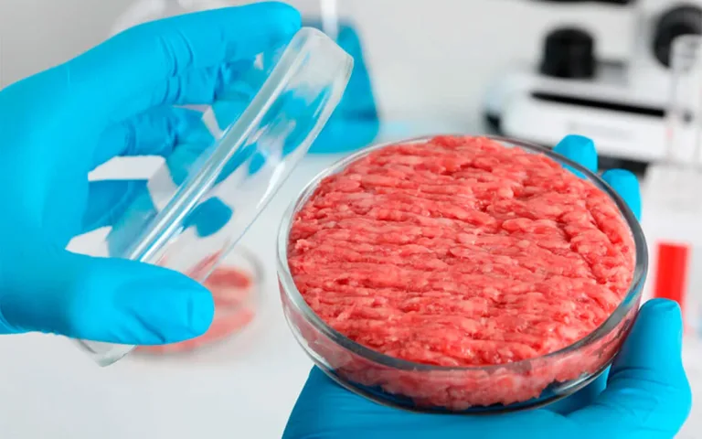 Los alimentos artificiales son perjudiciales para el cambio ecológico 3 Los alimentos artificiales son perjudiciales para el cambio ecológico