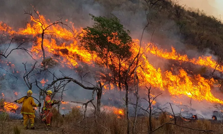 Cambio climático: El FMI también es responsable 2 Cambio climático: El FMI también es responsable