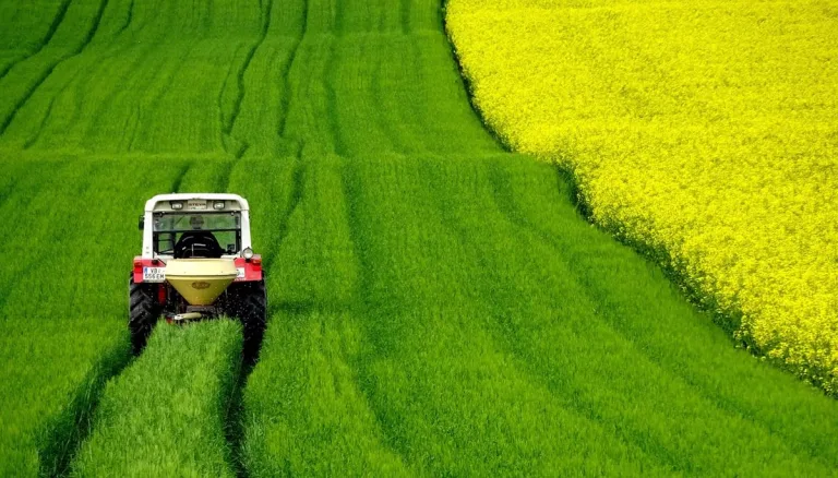 Tú no eliges los alimentos que comes, lo hacen ellos 10 Tú no eliges los alimentos que comes, lo hacen ellos