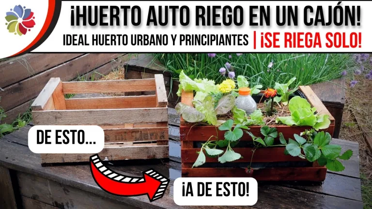 Huerto en cajón con autoriego 5 Huerto en cajón con autoriego