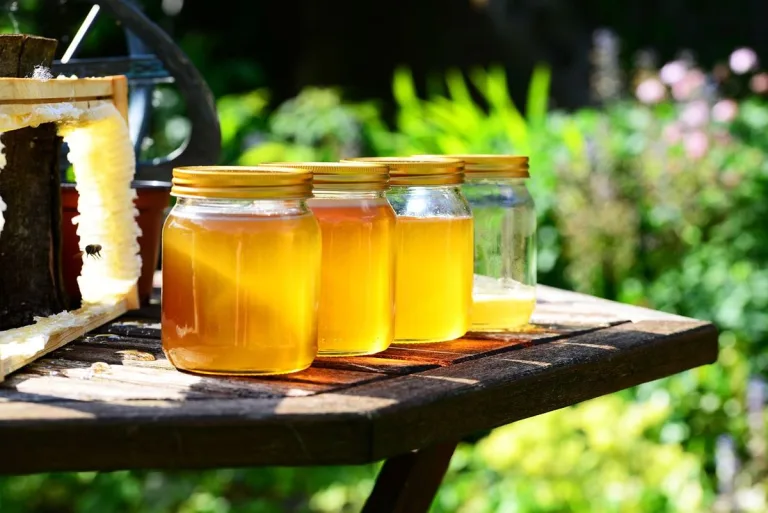 5 diferentes tipos de miel y sus beneficios 6 5 diferentes tipos de miel y sus beneficios