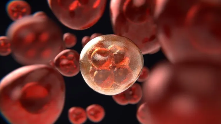 ¿Es posible evitar el riesgo de padecer cáncer? 4 ¿Es posible evitar el riesgo de padecer cáncer?