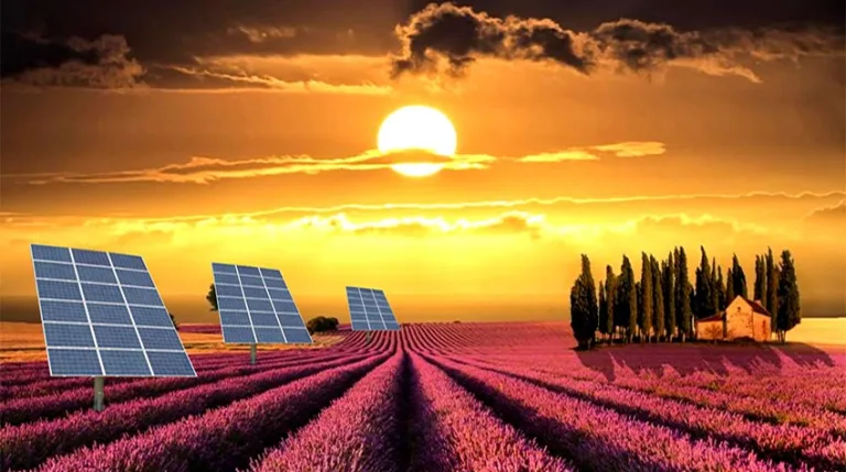 Paneles solares vs plantación de bosques: ¿qué reduce más rápido el cambio climático? 7 Paneles solares vs plantación de bosques: ¿qué reduce más rápido el cambio climático?