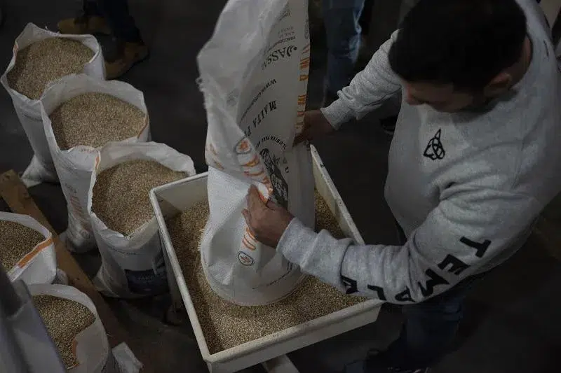 Residuos de cerveza para fabricar panes de hamburguesas 2 residuos de cerveza