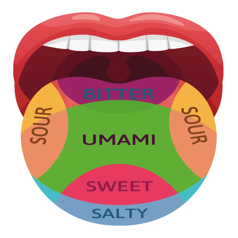 Sabor umami, rico, pero no deberías abusar 2 Sabor umami, rico, pero no deberías abusar