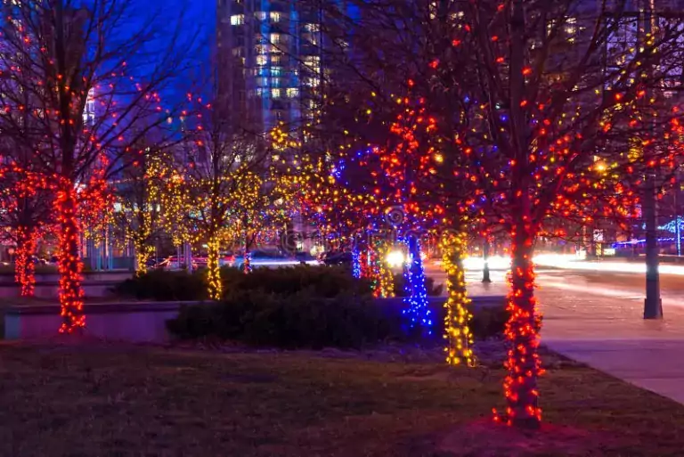 Las luces navideñas dañan las plantas