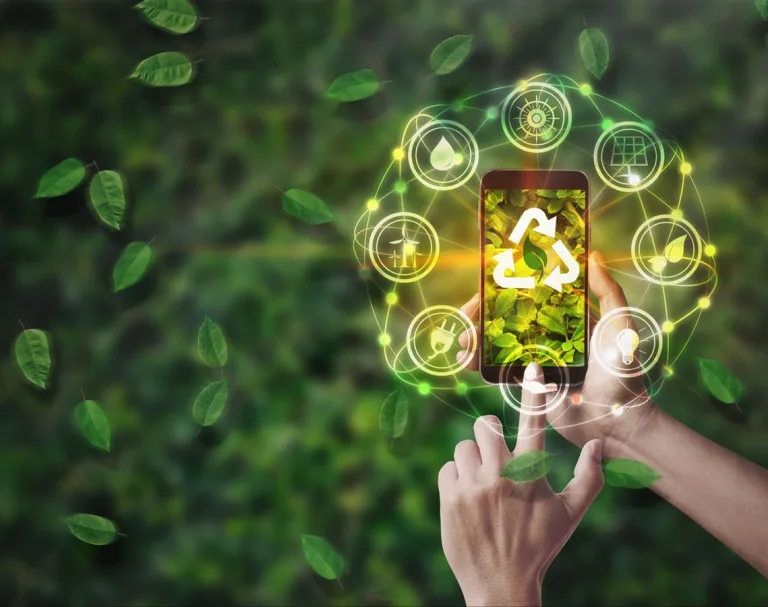 La ecología digital: Cómo el uso excesivo de WhatsApp puede afectar al medio ambiente