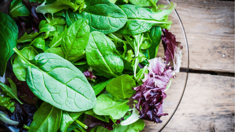 5 verduras de hoja que no pueden faltar en tu dieta 3 5 verduras de hoja que no pueden faltar en tu dieta