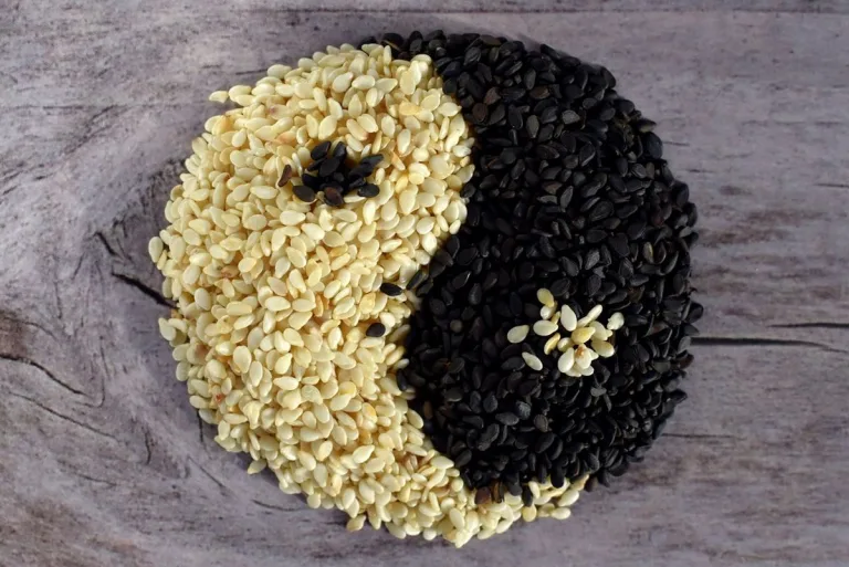 Semillas de sésamo negro: 10 beneficios para la salud 9 Semillas de sésamo negro: 10 beneficios para la salud