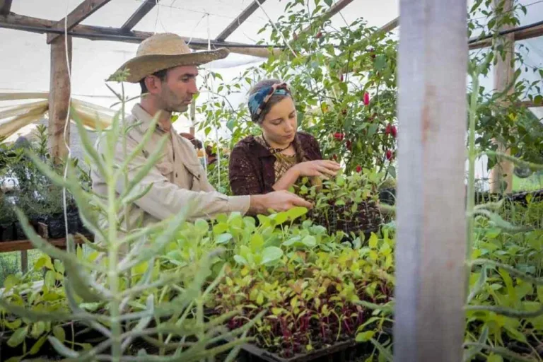 Somos Red: una apuesta a la agroecología como motor de arraigo 4 Somos Red: una apuesta a la agroecología como motor de arraigo