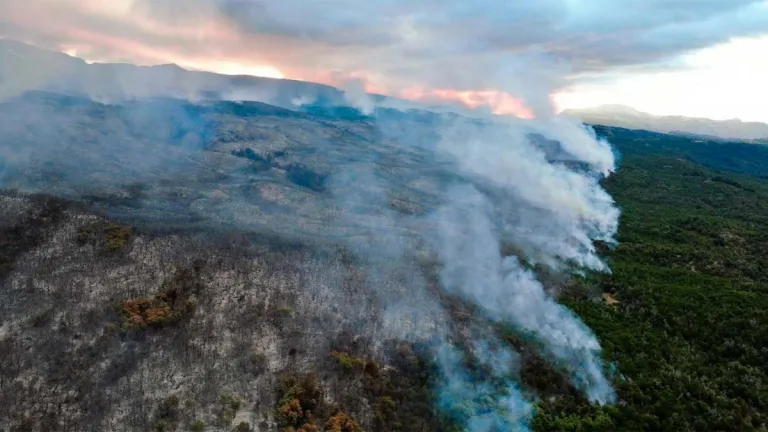 Incendio forestal en el Parque Nacional Los Alerces “fuera de control” 10 Incendio forestal en el Parque Nacional Los Alerces “fuera de control”