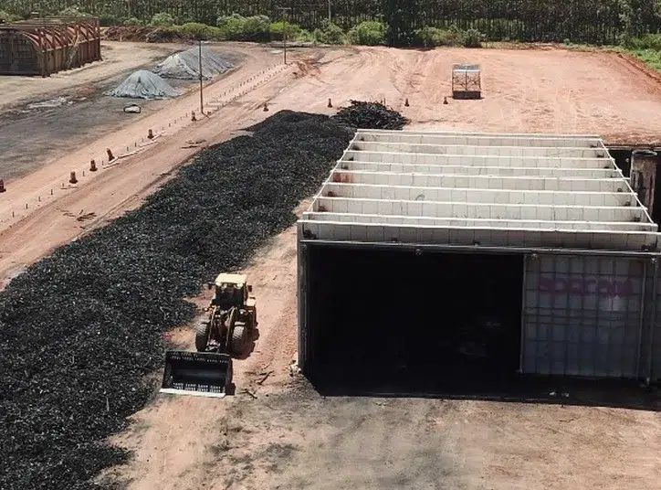 Eucaliptos en Brasil: carbón verde pero menos agua 2 carbón verde