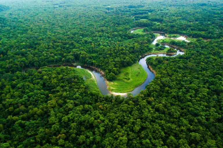 Un nuevo mapa que muestra toda la biomasa aérea en la Amazonia brasileña 7 Un nuevo mapa que muestra toda la biomasa aérea en la Amazonia brasileña
