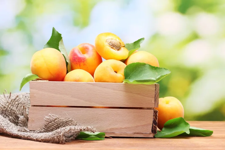 Las 5 mejores frutas del verano 7 Las 5 mejores frutas del verano