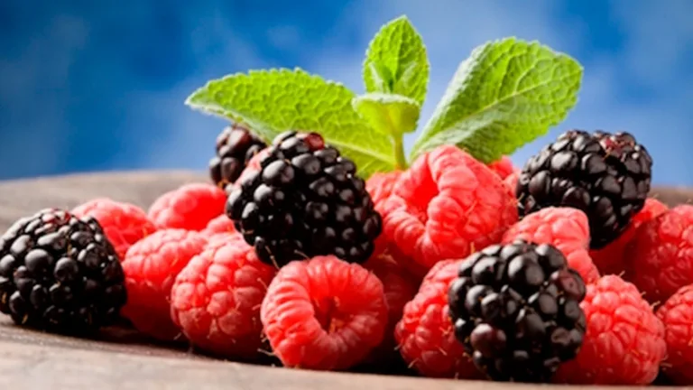 Esta fruta ayuda a producir colágeno natural 7 Esta fruta ayuda a producir colágeno natural