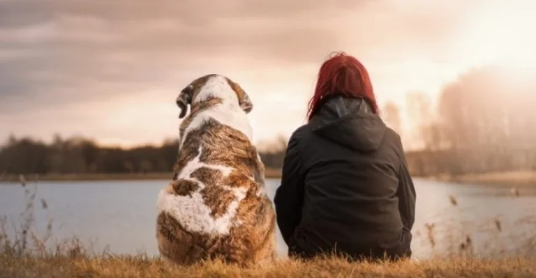 Tu perro puede ayudar a relajarte más que tus amigos 7 Tu perro puede ayudar a relajarte más que tus amigos