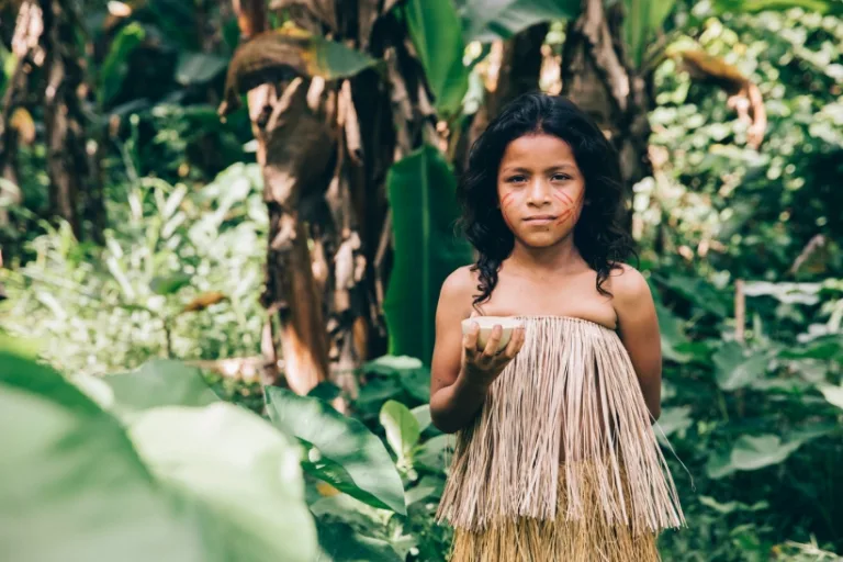 Los inversores deben respetar los derechos de los pueblos indígenas para proteger la Amazonia 3 Los inversores deben respetar los derechos de los pueblos indígenas para proteger la Amazonia