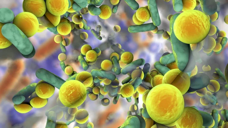 Las «superbacterias del espacio» nos amenazan