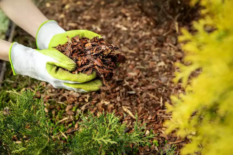 Cómo hacer mantillo para tu jardín 5 Cómo hacer mantillo para tu jardín