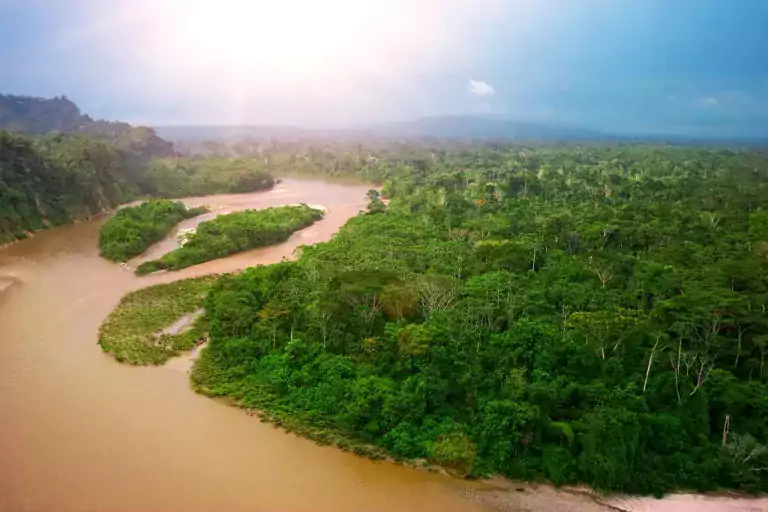 Cómo impactan los plaguicidas en el Amazonas 1 Cómo impactan los plaguicidas en el Amazonas